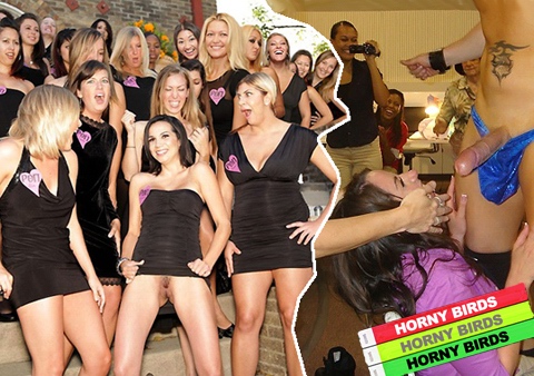 Ladies, film your sex party and get $20,000! image